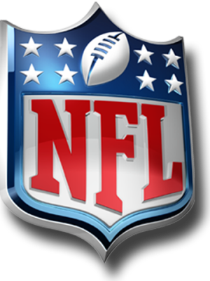 NFL 2014-15 Recap