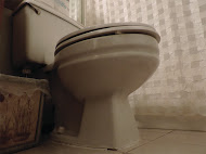 Toddler found stuck in toilet after being left alone