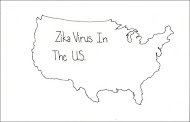 Zika Virus in the US