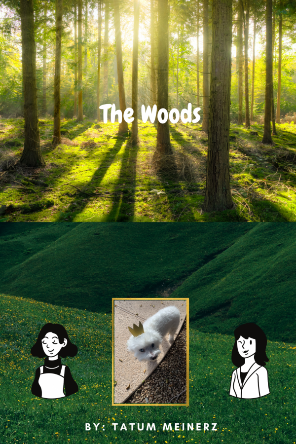 The+Woods
