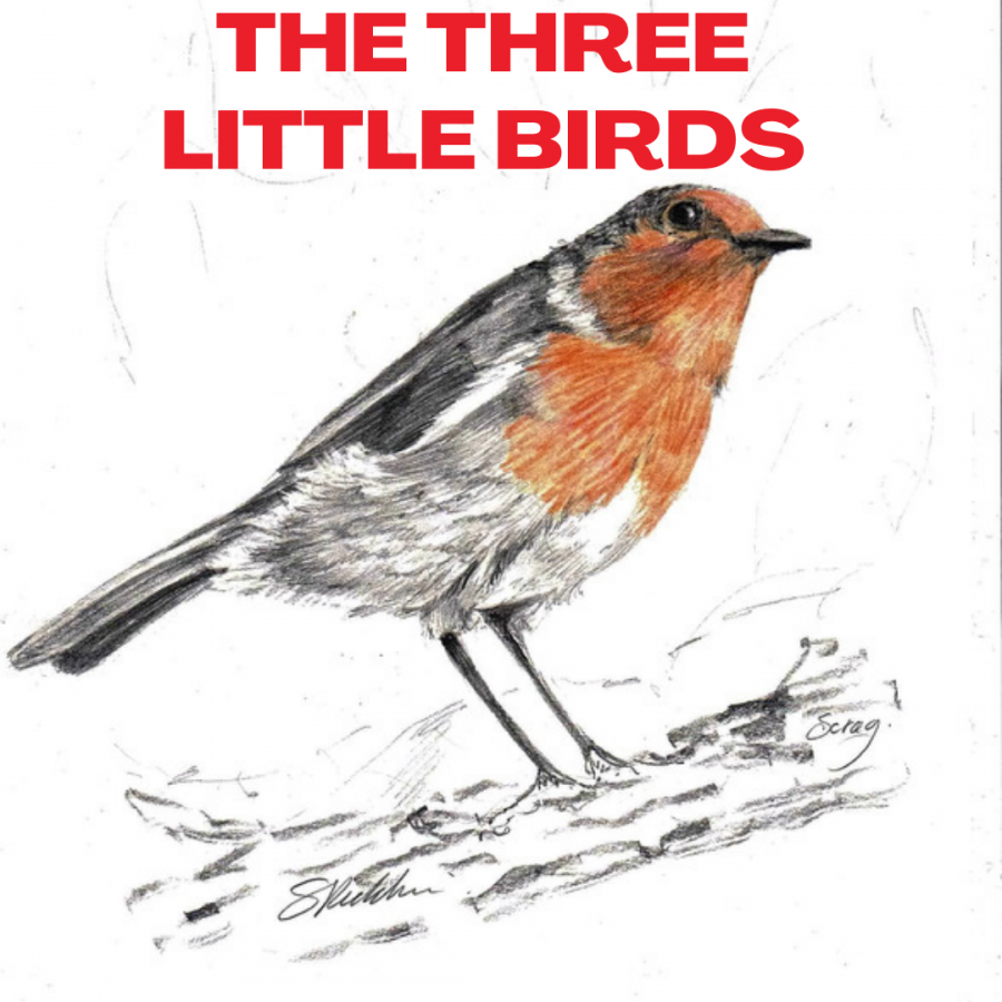 The+Three+Little+Birds