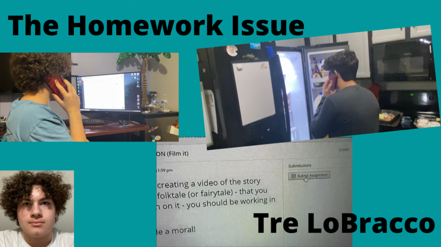 The+Homework+Issue
