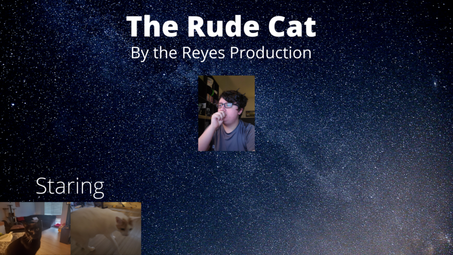 The+Rude+Cat