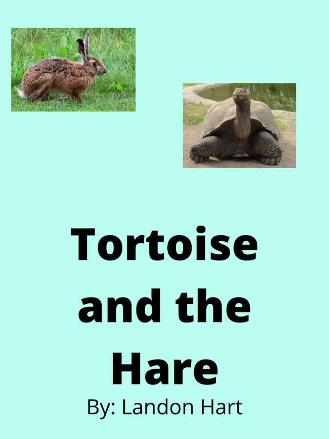 Tortoise+and+the+Hare