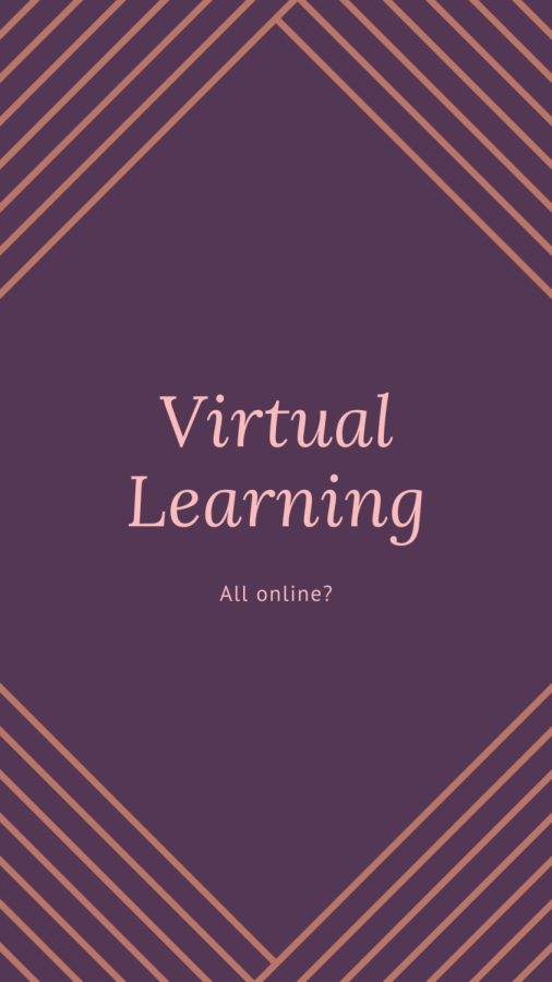 Virtual+Learning+PSA