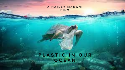 Plastic In Our Ocean